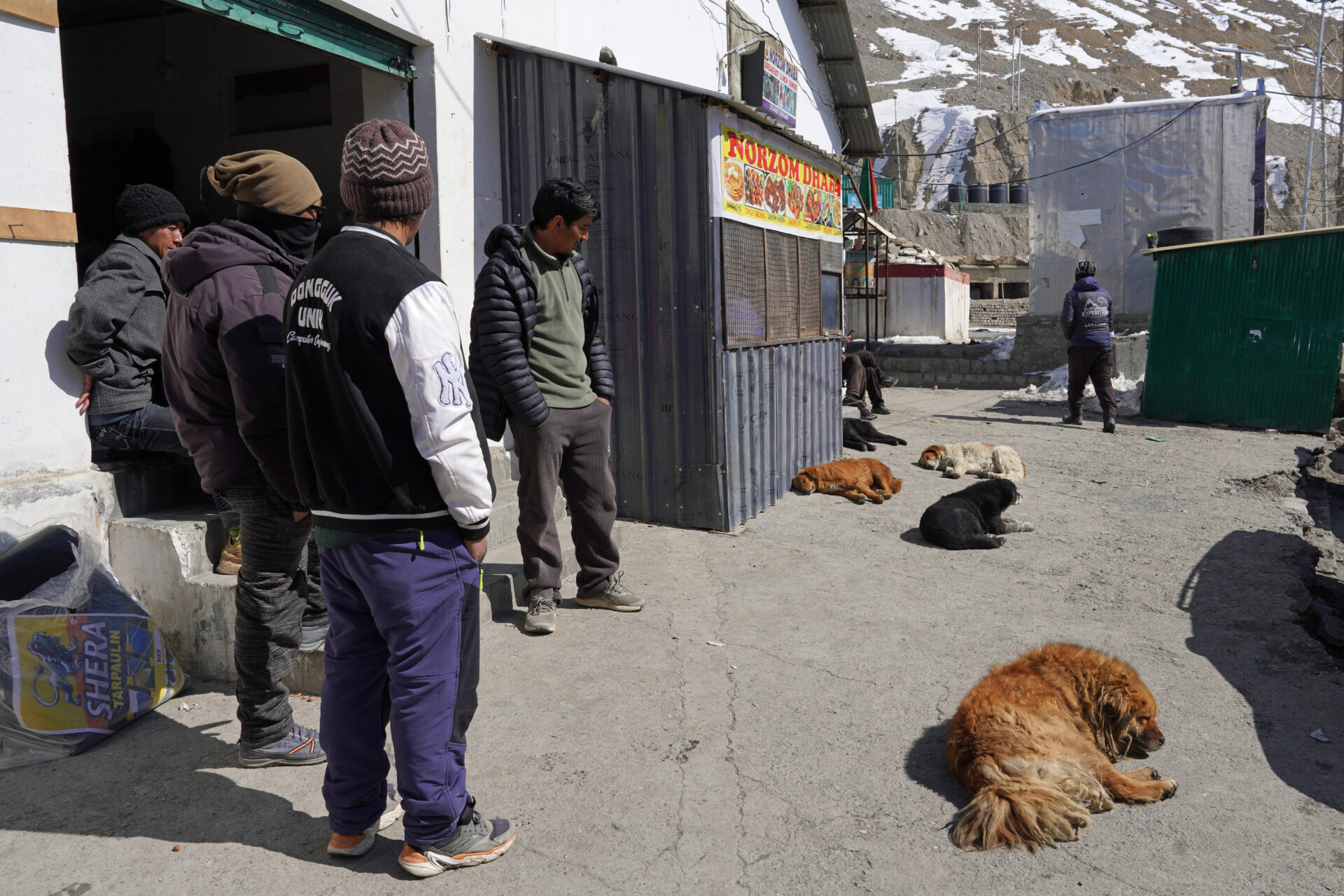 Kaza im Spiti Valley