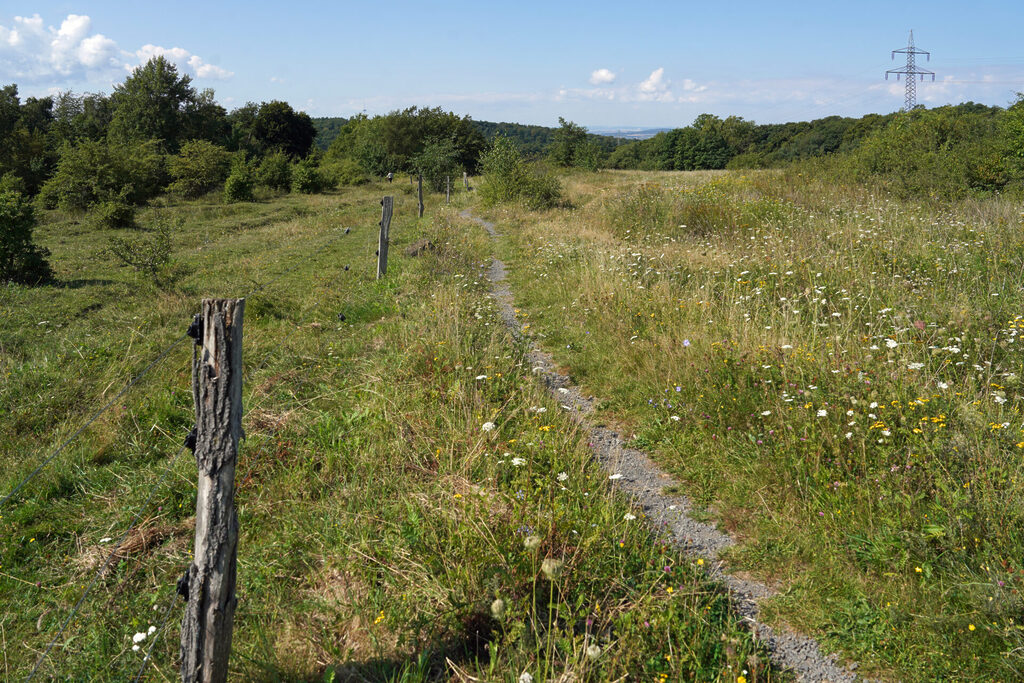 Die Schmidtenhöhe bei Koblenz ist ein wunderschönes, riesiges Naturschutzgebiet, in dem es viel zu entdecken gibt.