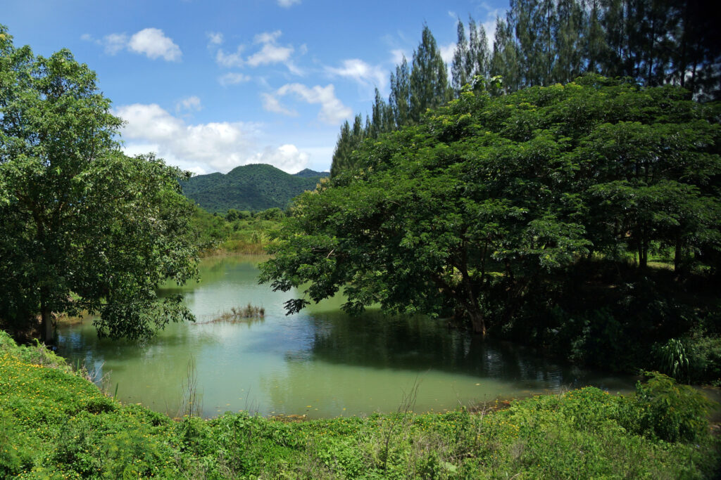 Kui Buri Nationalpark in Thailand