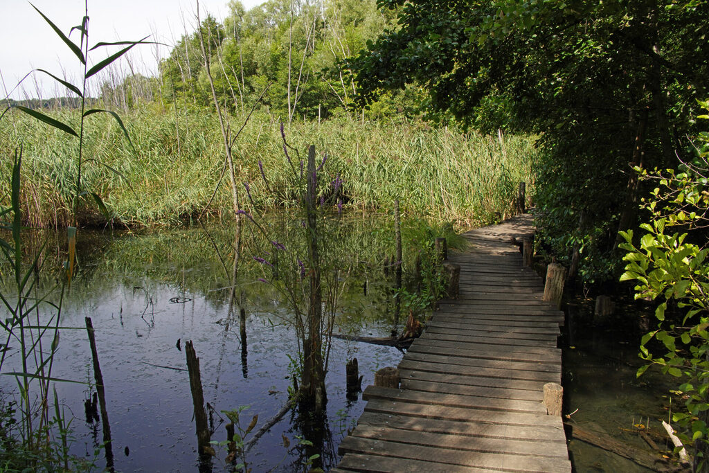 Holzsteg durch Haff Remich in Luxemburg
