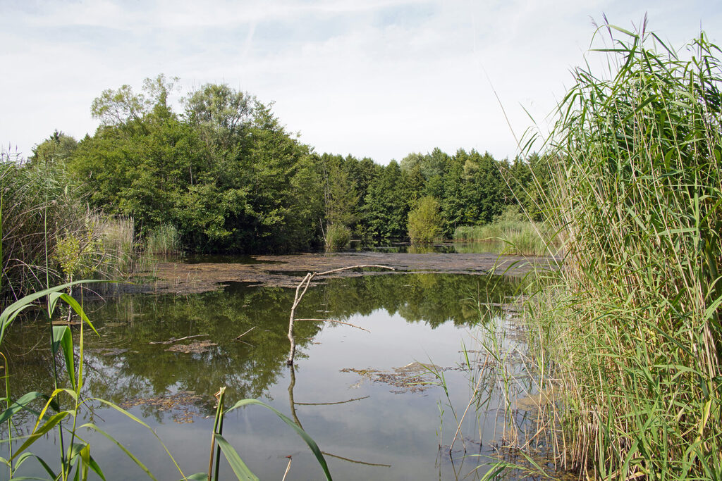 Naturschutzgebiet Haff Reimech bei Remerschen an der Mosel in Luxemburg
