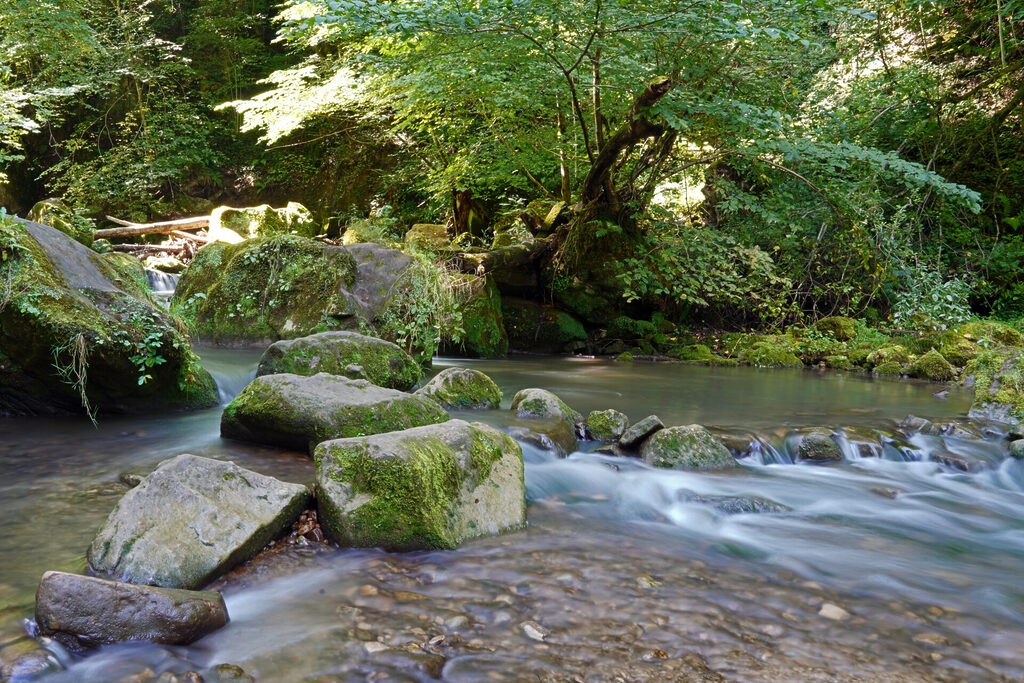 Auf dem Weg zum Schiessentümpel im Müllerthal in Luxemburg