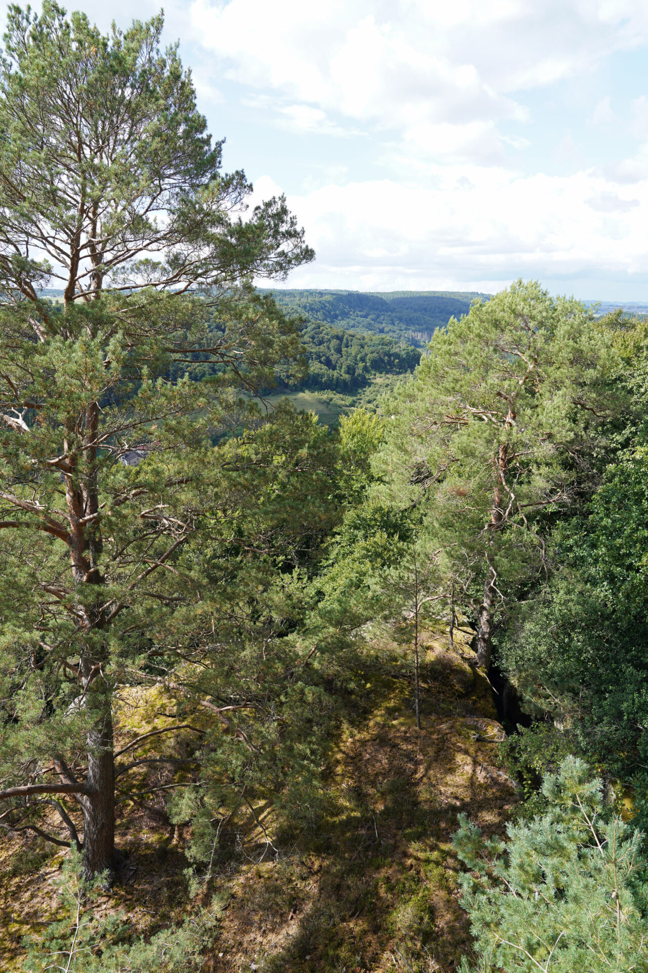 Die Aussichtsplattform Teufelsinsel in Berdorf im Müllerthal bietet eine faszinierende Fernsicht