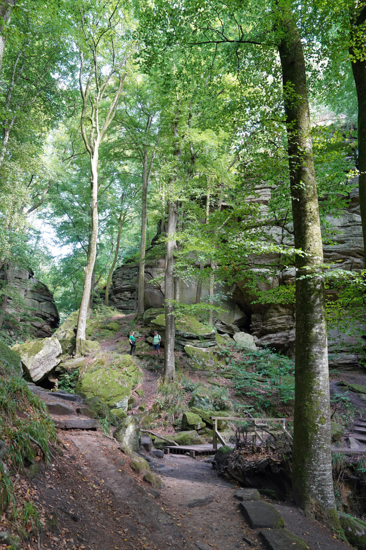 Spektakuläre Felsformationen im Müllerthal in Luxemburg