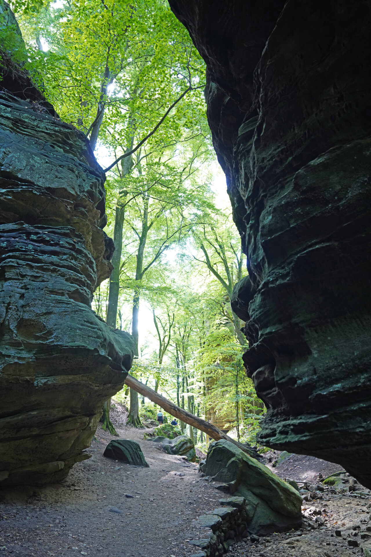 Spektakuläre Felsformationen im Müllerthal in Luxemburg