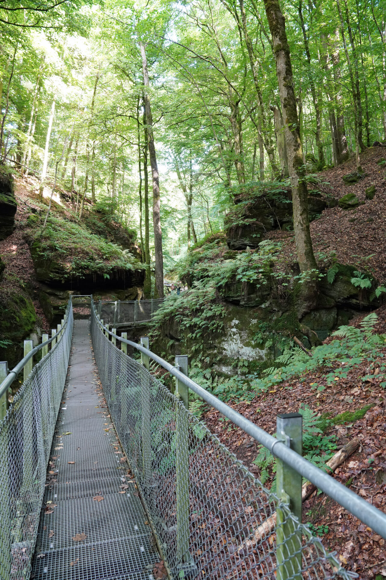Müllerthal-Trail