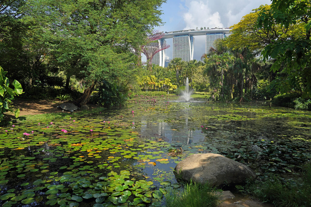 Die kontrastreichen Gardens by the Bay liefern in Singapur eine tolle Mischung aus Natur, Technik und Architektur.
