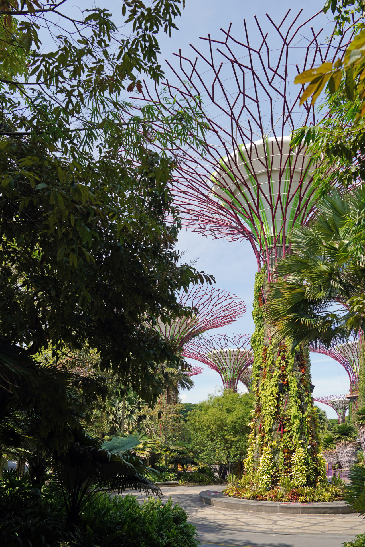 Die kontrastreichen Gardens by the Bay liefern in Singapur eine tolle Mischung aus Natur, Technik und Architektur.