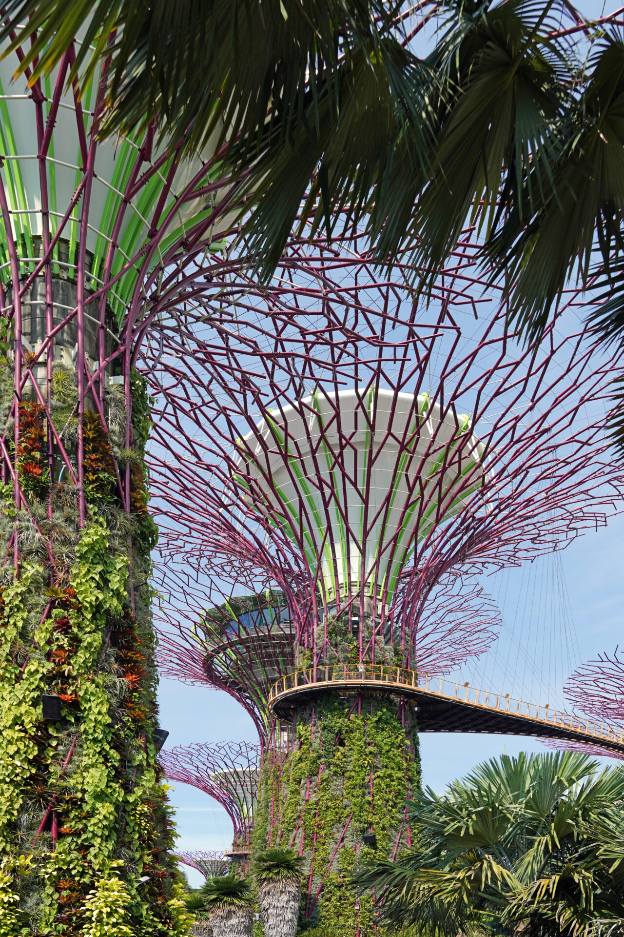 Die kontrastreichen Gardens by the Bay liefern in Singapur eine tolle Mischung aus Natur, Technik und Architektur.