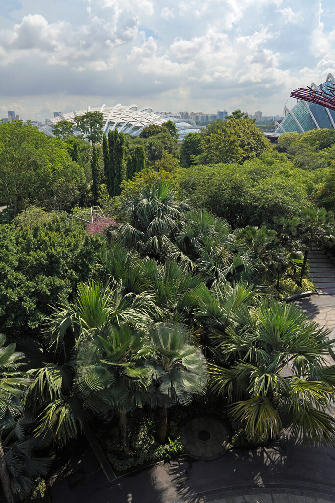 Die kontrastreichen Gardens by the Bay liefern in Singapur eine tolle Mischung aus Natur, Technik und Architektur.
