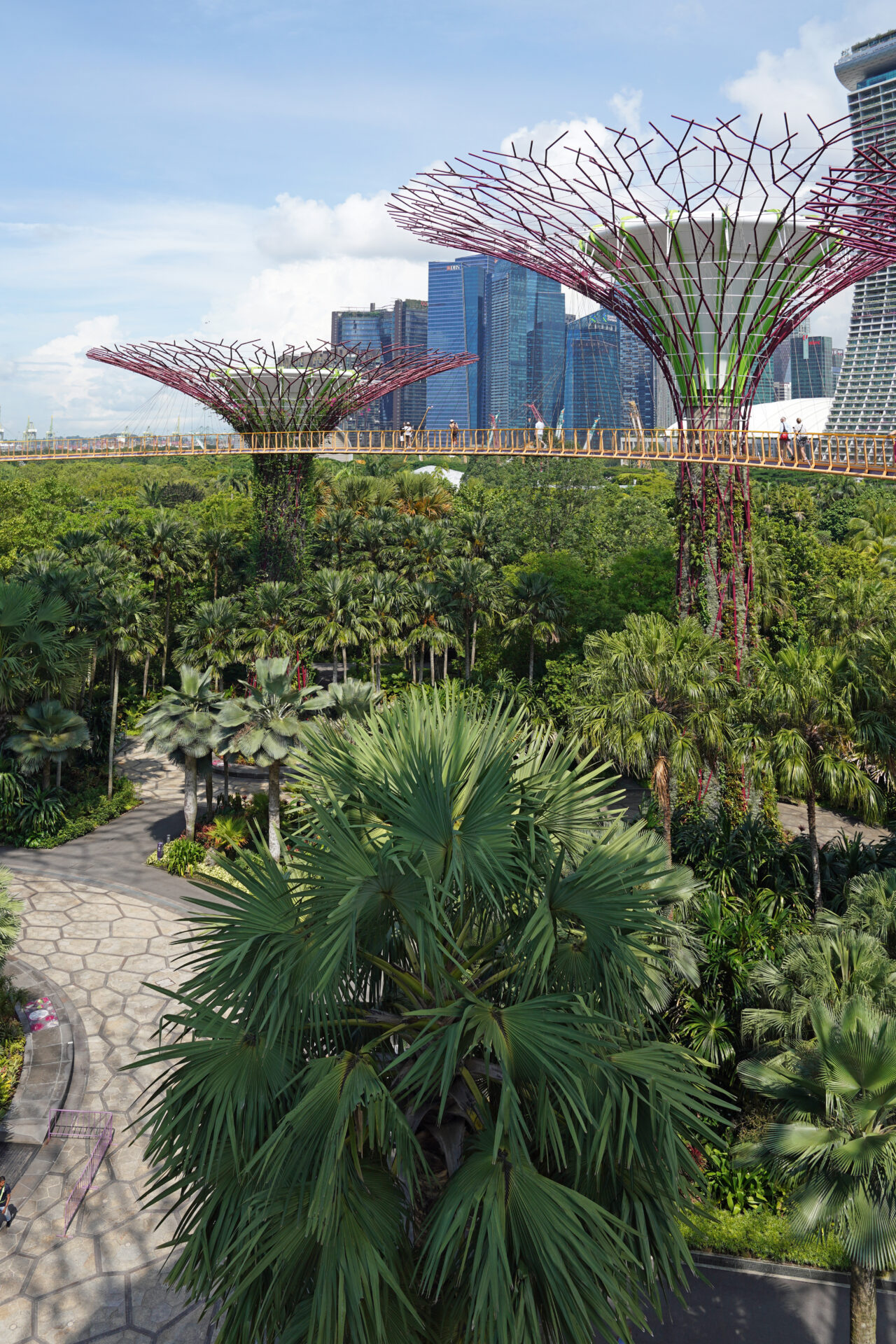 Die kontrastreichen Gardens by the Bay liefern in Singapur eine tolle Mischung aus Natur, Technik und Architektur.