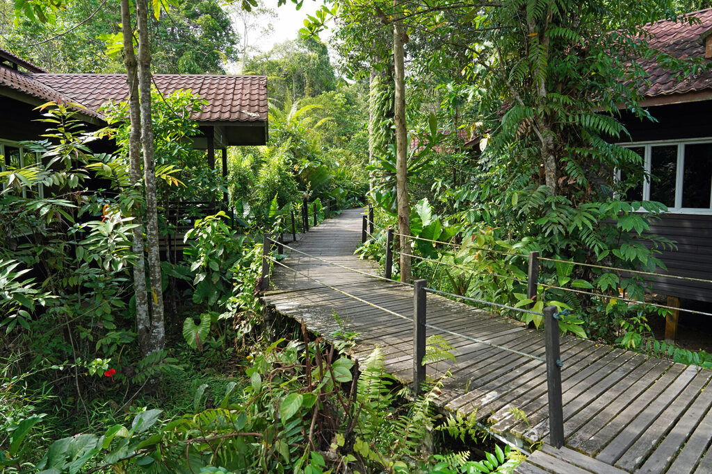 Der Kinabatangan ist der zweitlängste Fluss Malaysias und der längste Fluss Sabahs. Hier liegt die Abai Jungle Lodge.