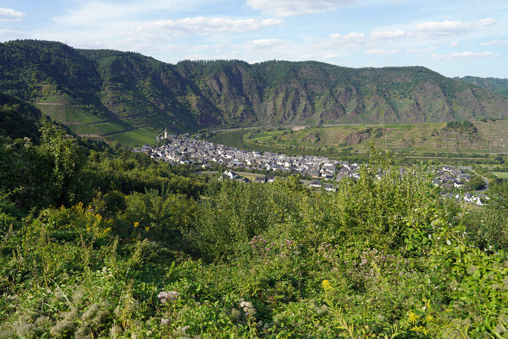 Bremm an der Moselschleife und am Calmont, dem steilsten Weinberg Europas