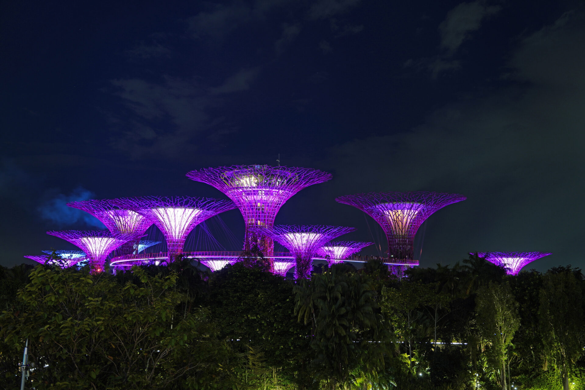 Die Light-Show am Abend in den Gardens by the Bay in Singapur mit den illuminierten Supertrees