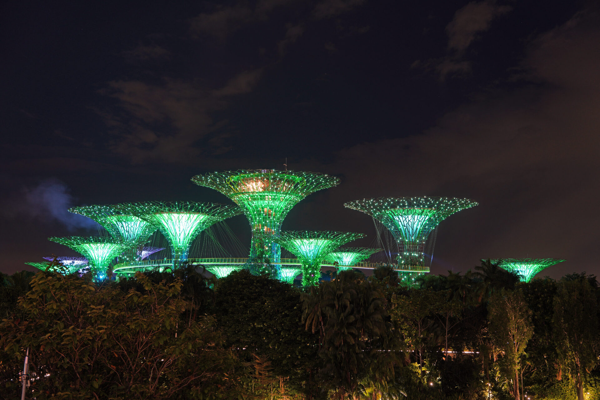 Die Light-Show am Abend in den Gardens by the Bay in Singapur mit den illuminierten Supertrees