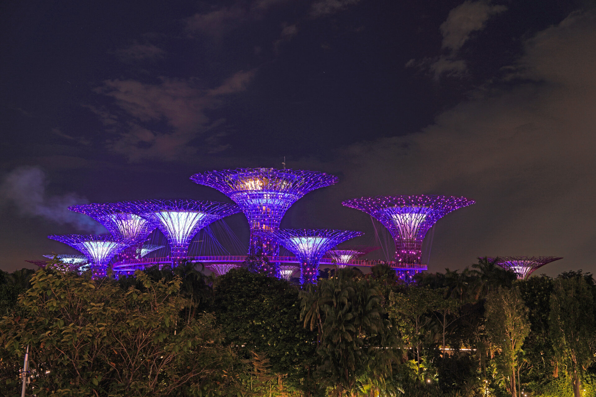 Die Light-Show am Abend in den Gardens by the Bay in Singapur mit den illuminierten Supertrees
