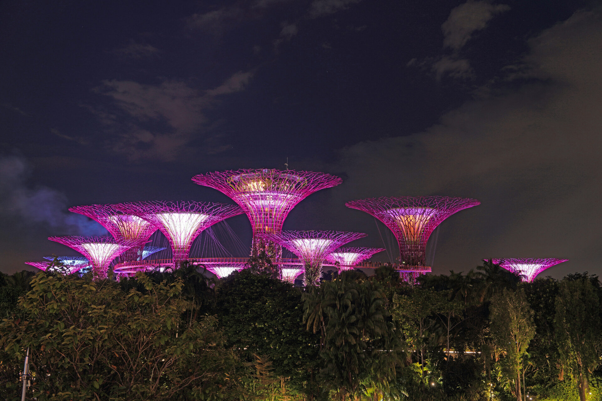Die Light-Show am Abend in den Gardens by the Bay in Singapur mit den illuminierten Supertrees