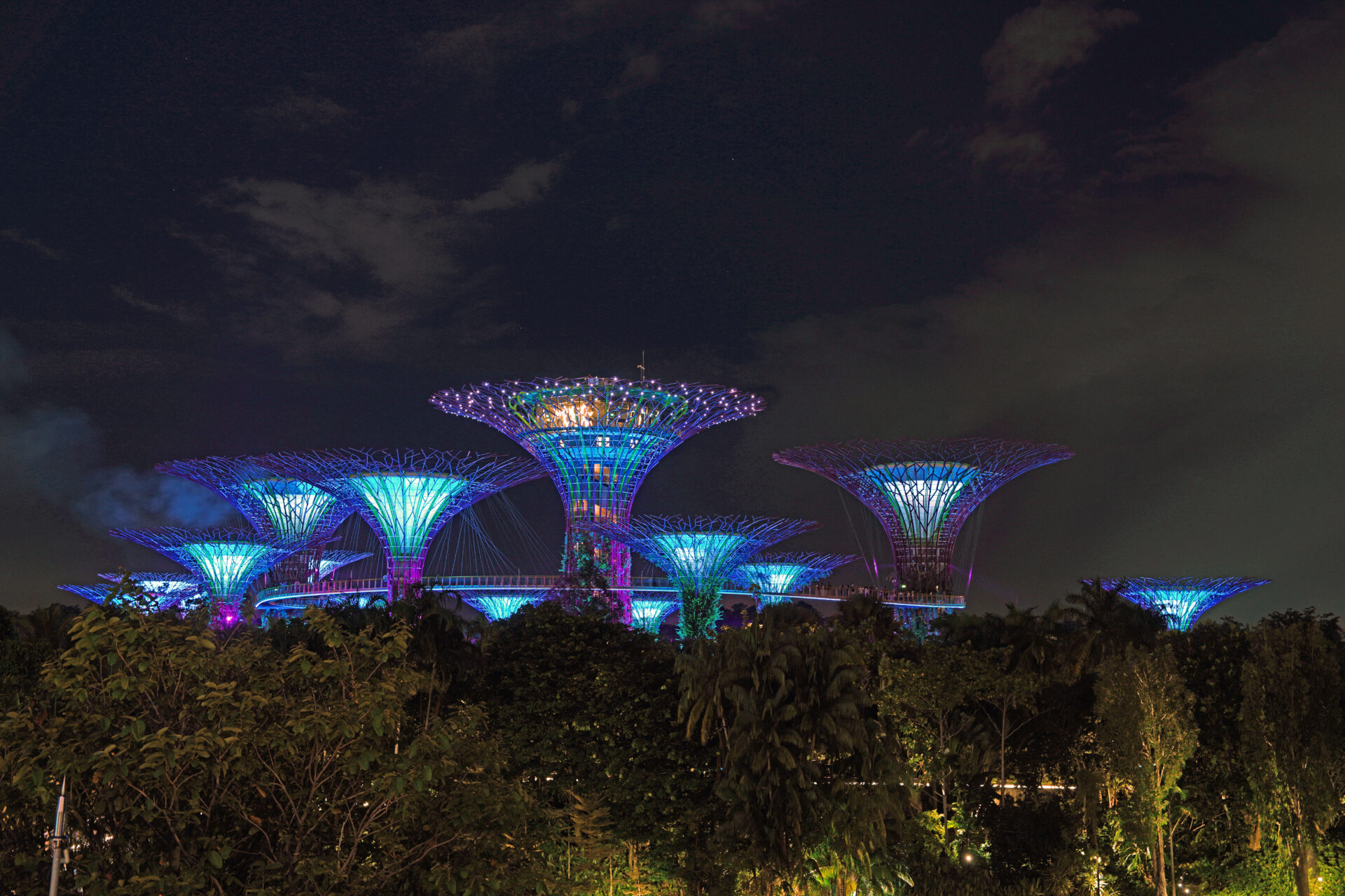 Die Light-Show am Abend in den Gardens by the Bay in Singapur mit den illuminierten Supertrees