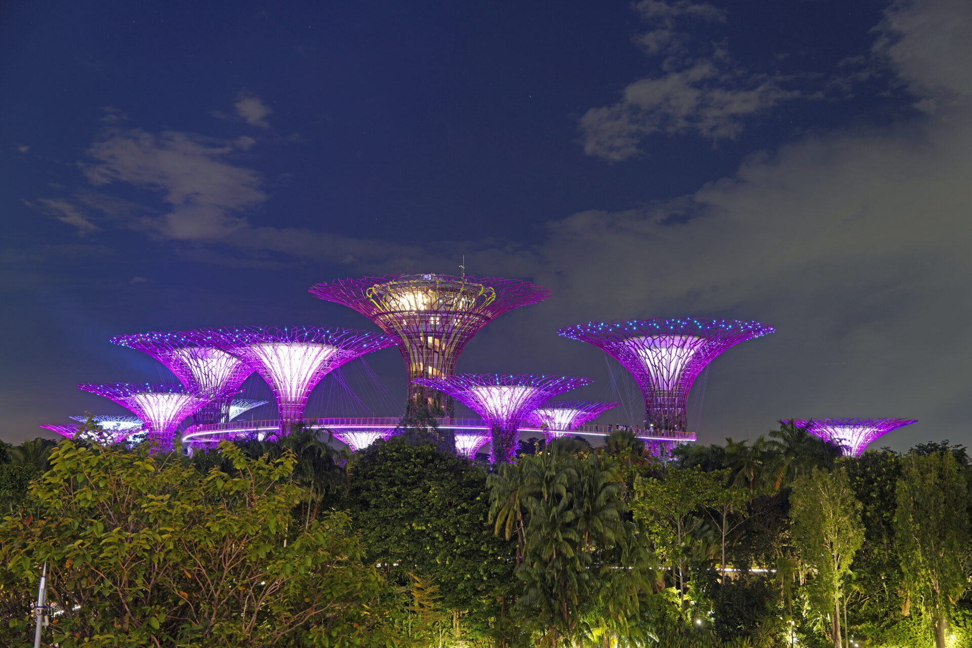 Die Light-Show am Abend in den Gardens by the Bay in Singapur mit den illuminierten Supertrees