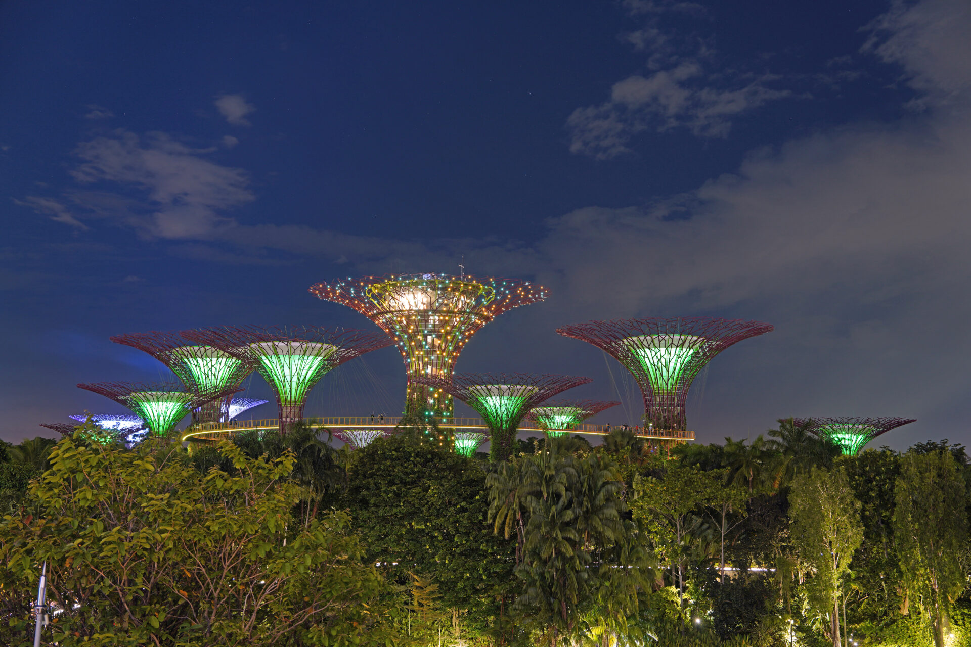Die Light-Show am Abend in den Gardens by the Bay in Singapur mit den illuminierten Supertrees