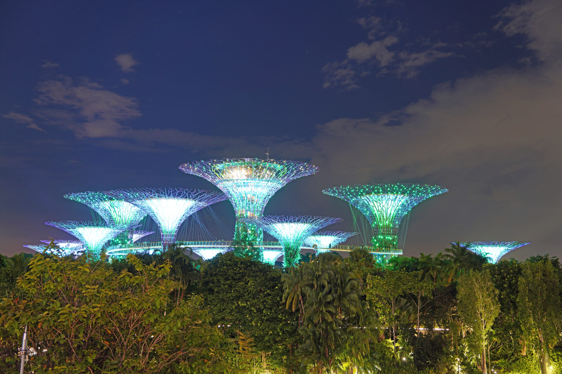 Die Light-Show am Abend in den Gardens by the Bay in Singapur mit den illuminierten Supertrees