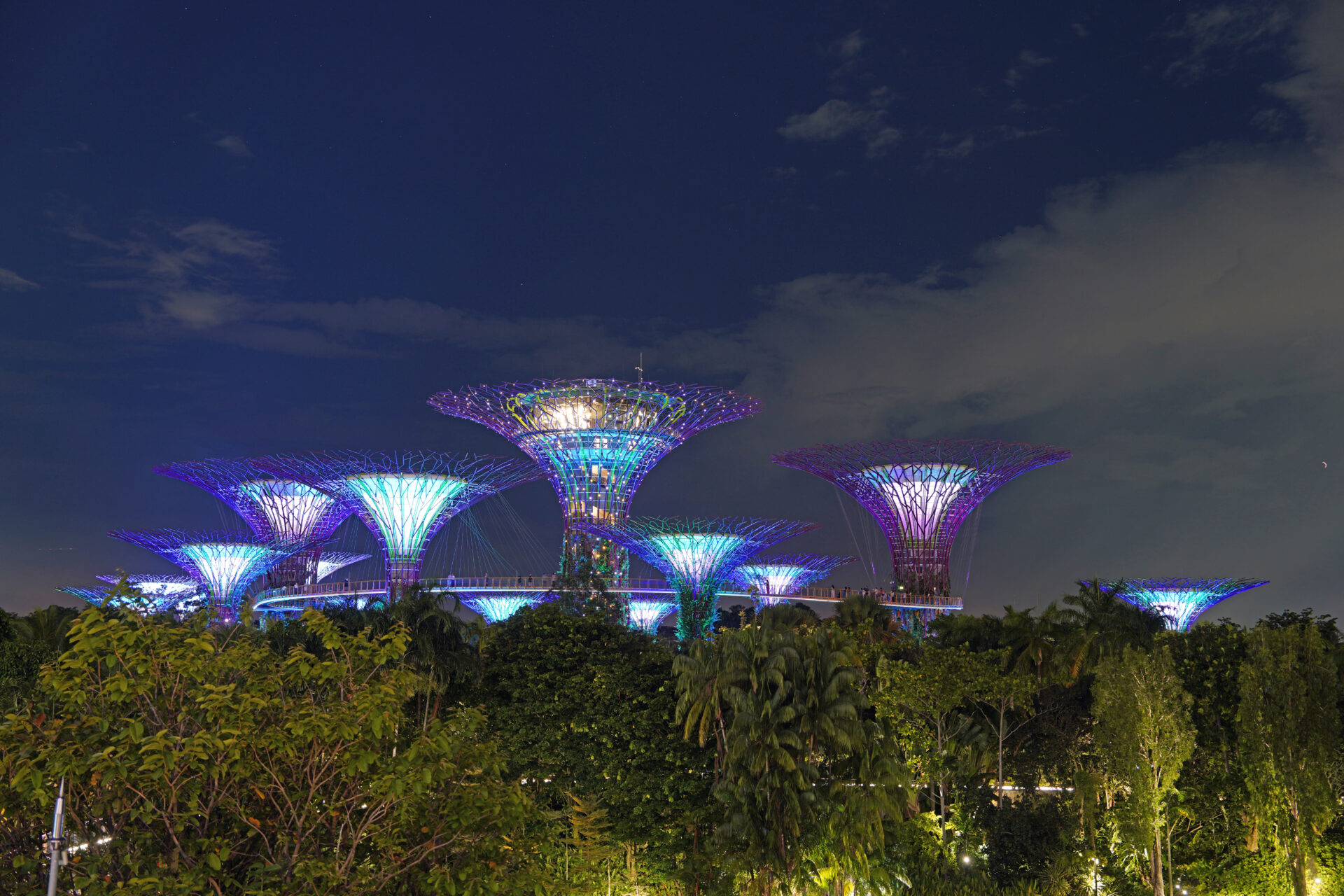 Die Light-Show am Abend in den Gardens by the Bay in Singapur mit den illuminierten Supertrees