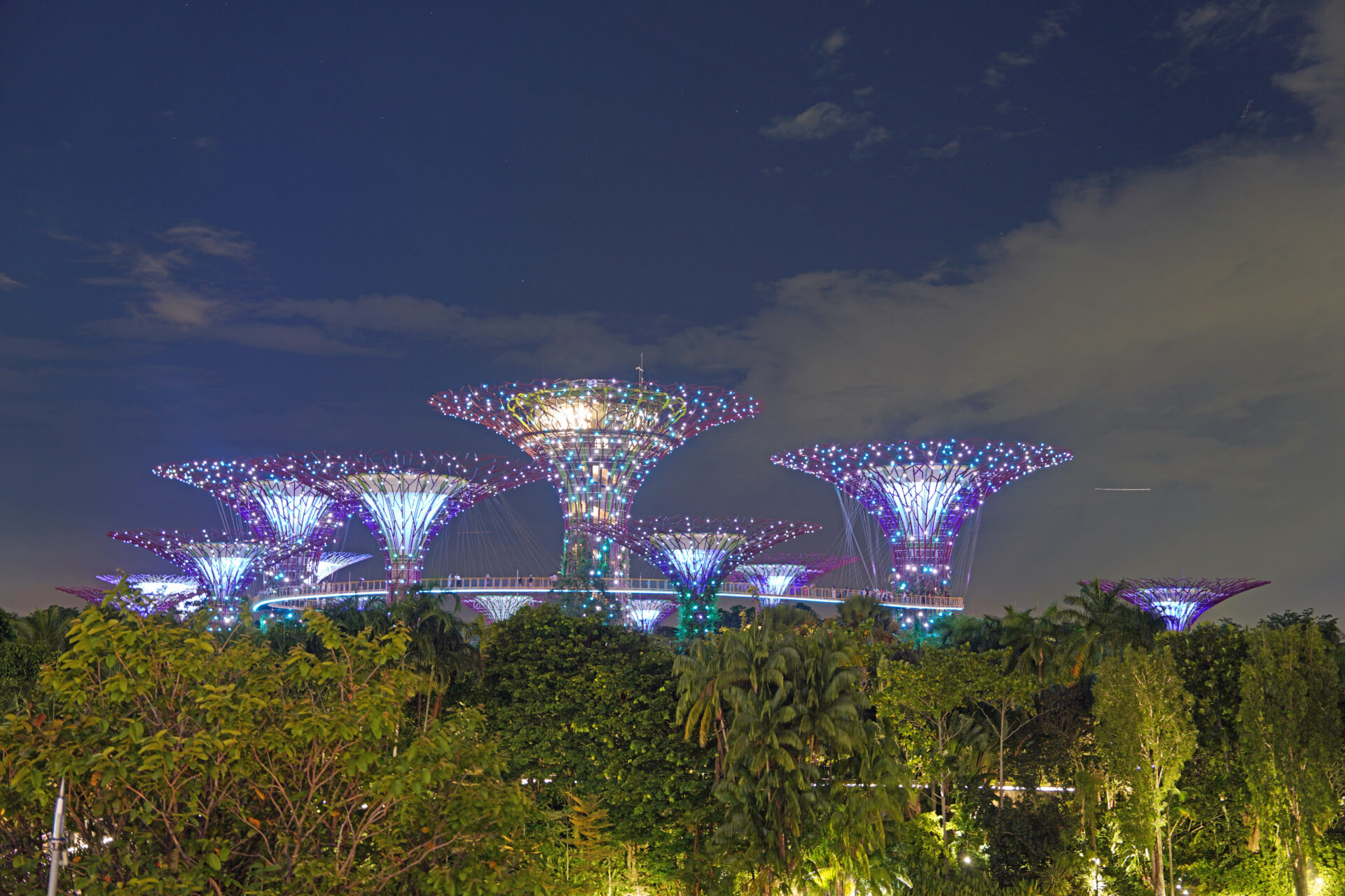 Die Light-Show am Abend in den Gardens by the Bay in Singapur mit den illuminierten Supertrees