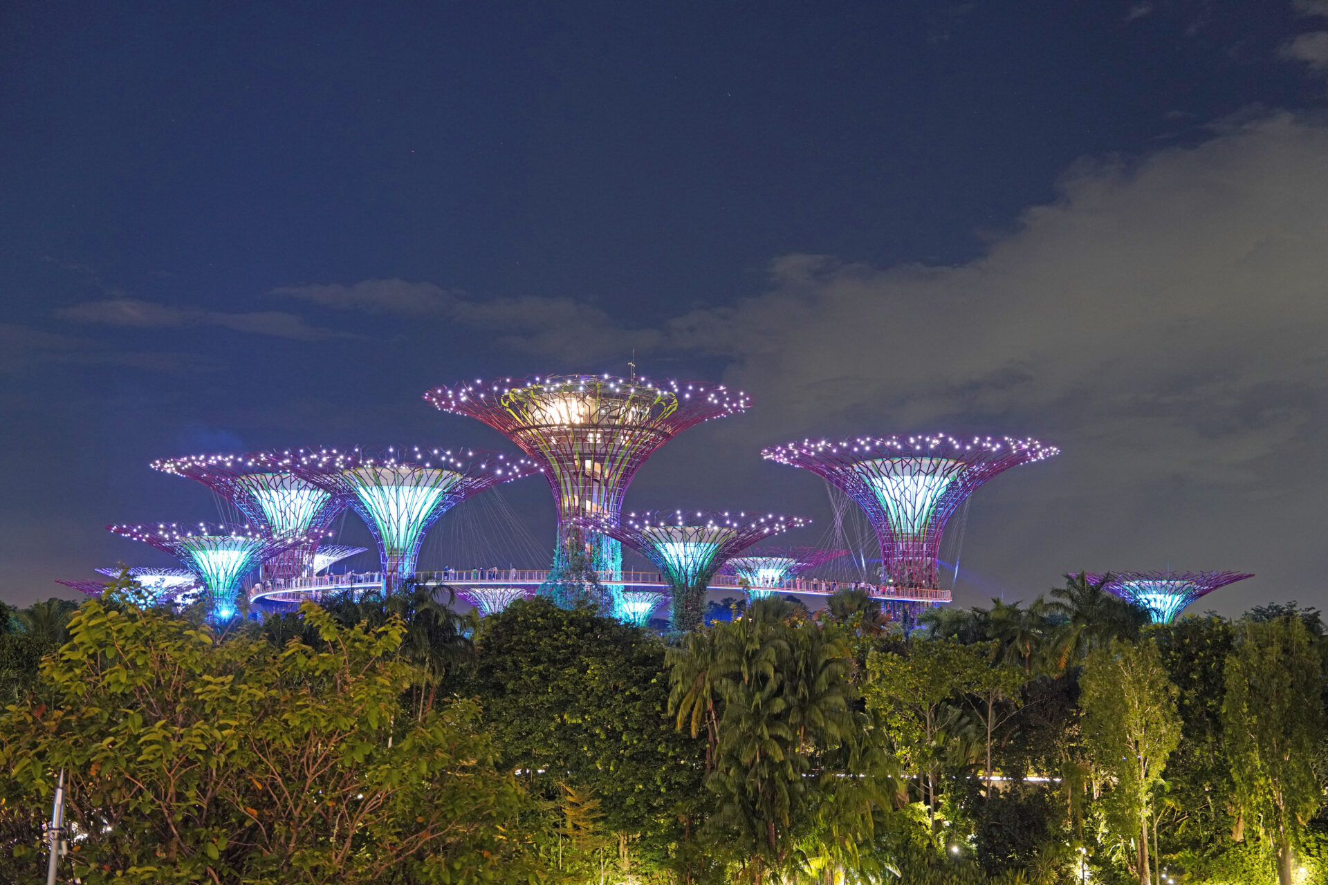 Die Light-Show am Abend in den Gardens by the Bay in Singapur mit den illuminierten Supertrees