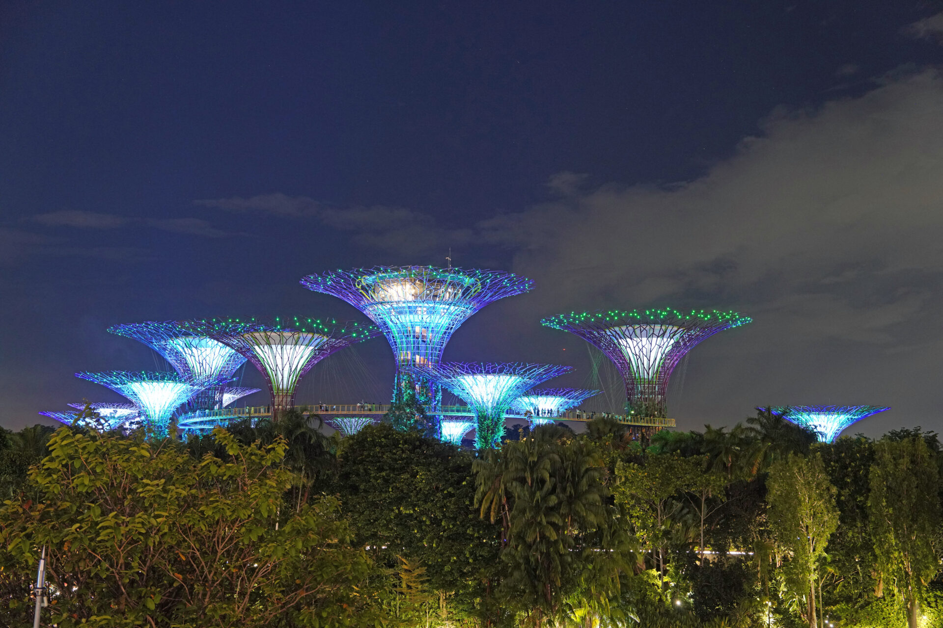 Die Light-Show am Abend in den Gardens by the Bay in Singapur mit den illuminierten Supertrees