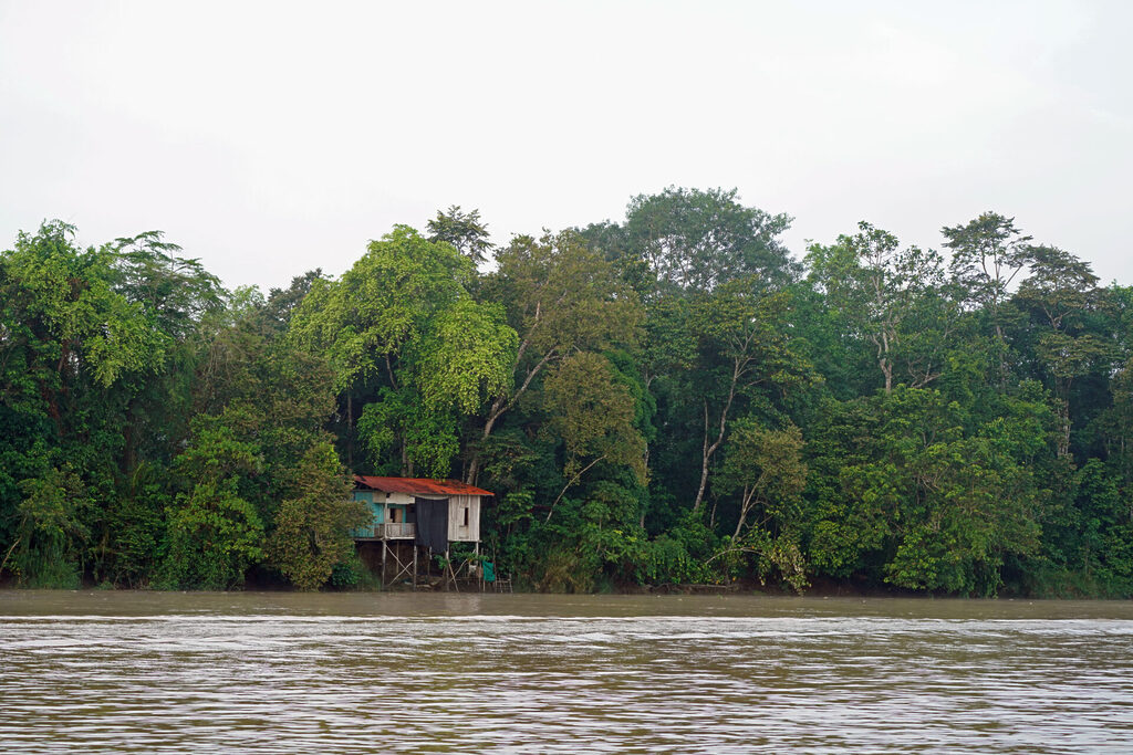 Der Kinabatangan ist der zweitlängste Fluss Malaysias und der längste Fluss Sabahs