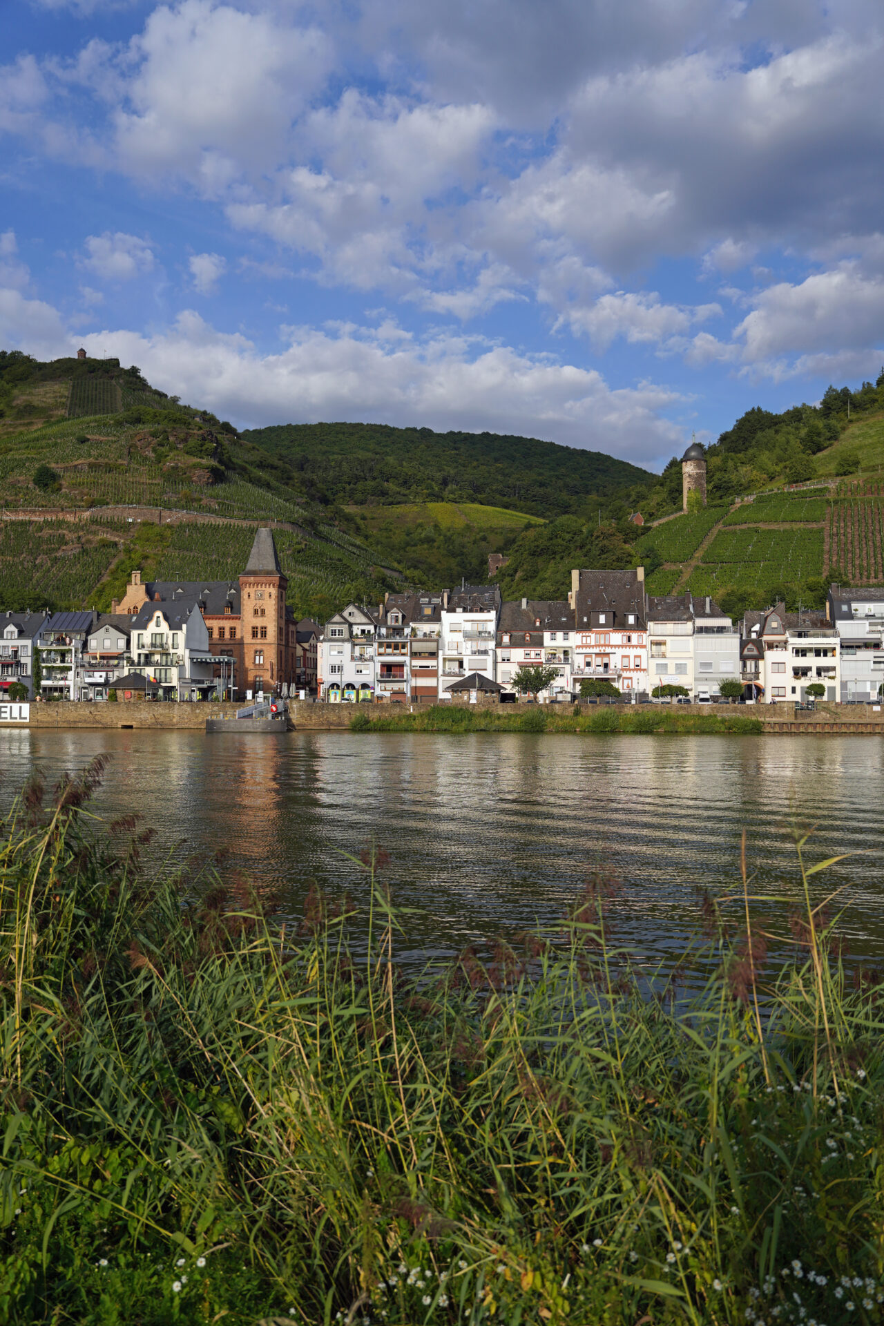 Der Wein aus Zell an der Mosel heißt Zeller schwarze Katz.