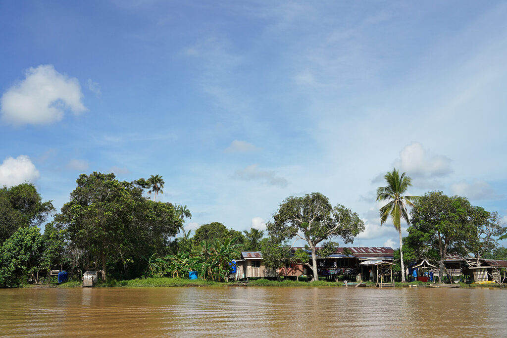 Der Kinabatangan ist der zweitlängste Fluss Malaysias und der längste Fluss Sabahs