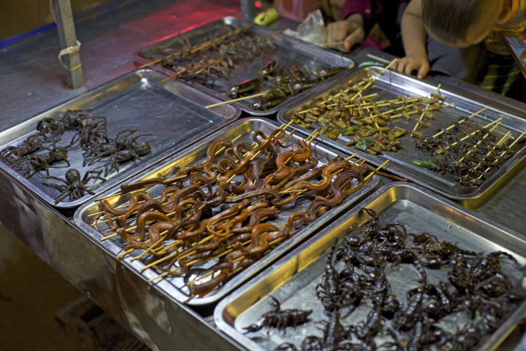 Der Nachtmarkt in Siem Reap in Kambodscha bietet auch kulinarische Highlights wie Skorpion, Frosch, Schlange und Durian.