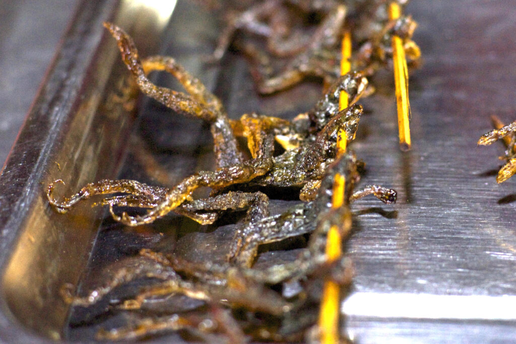 Der Nachtmarkt in Siem Reap in Kambodscha bietet auch kulinarische Highlights wie Skorpion, Frosch, Schlange und Durian.