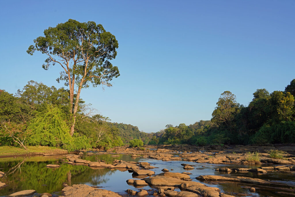 Der Chalakudy-Fluss prägt die Landschaft bei Athirapilly
