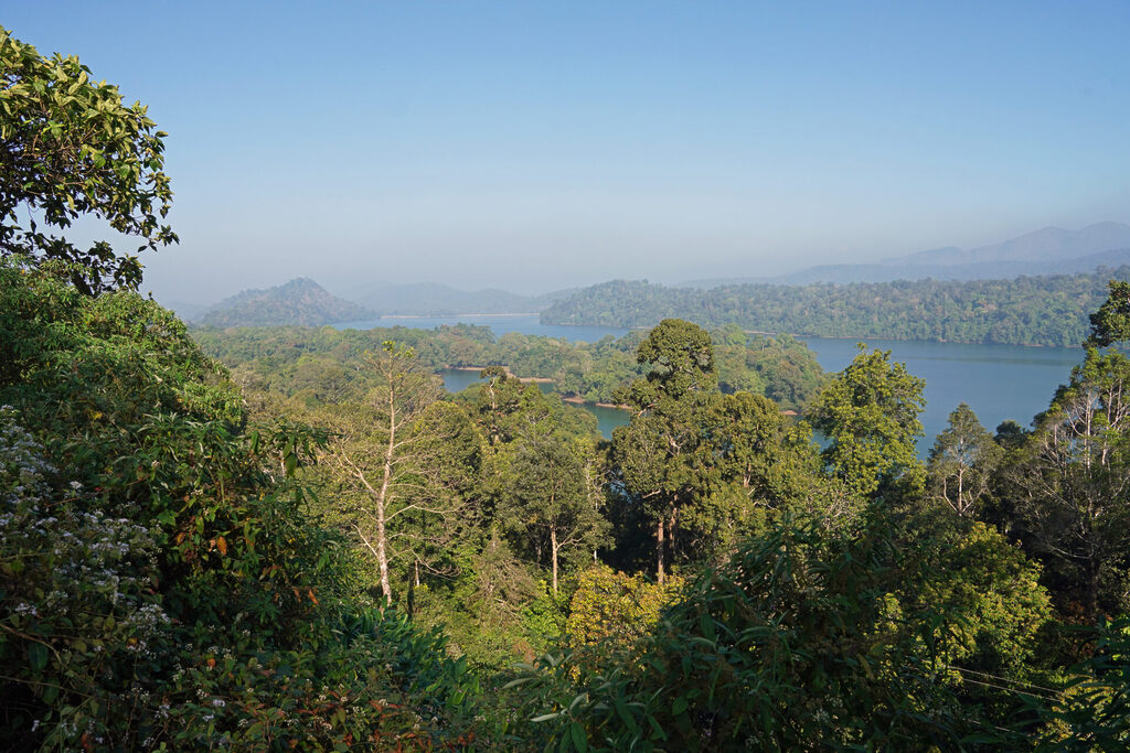Das Wasser des Sholayar-Stausees speist in der Trockenzeit den Chalakudy-Fluss