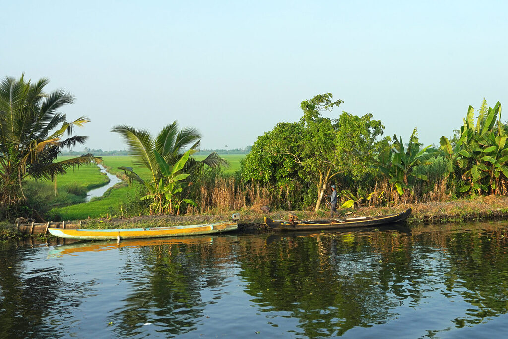 Im Vordergrund sieht man eine Wasserstraße der Backwaters, im Hintergrund die bis zu 3 Meter tiefer liegenden Reisfelder