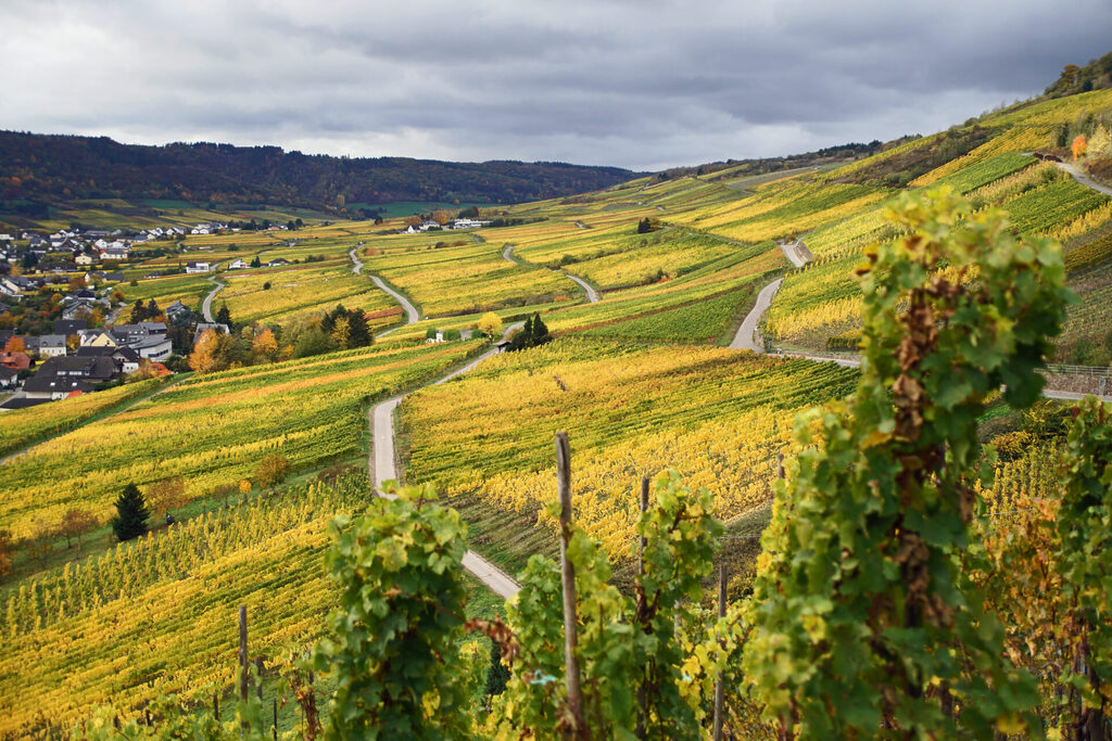 Weinberge bei Klöev an der Mosel bieten einen faszinierenden Fernblick.