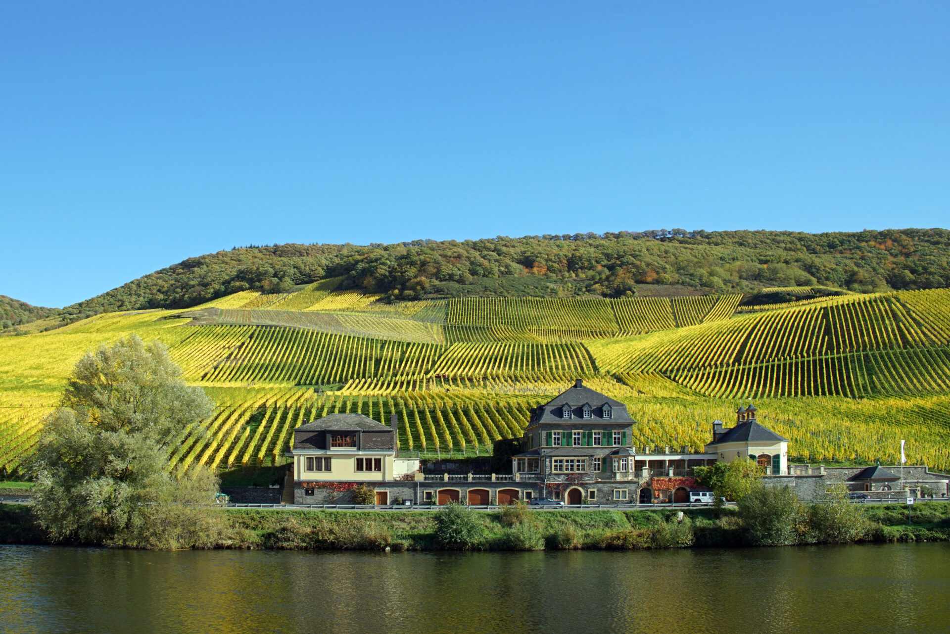 Bernkastel-Kues an der Mosel