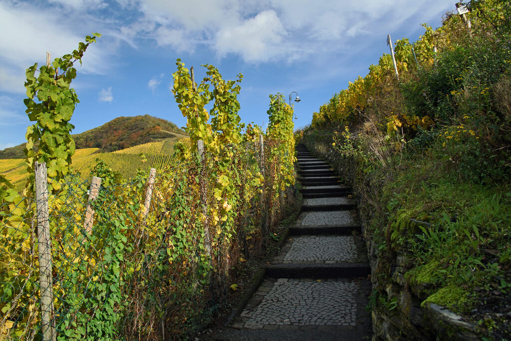 Weg zur Burgruine Landshut bei Bernkastel-Kues an der Mosel