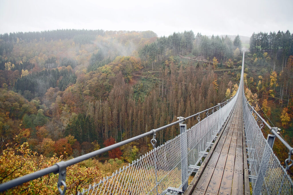 Die Geierlay-Hängeseilbrücke in der Eifel ist 360 Meter lang.