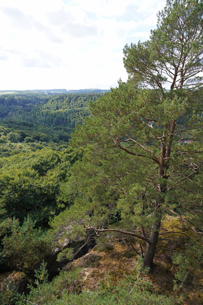 Die Aussichtsplattform Teufelsinsel in Berdorf im M&uuml;llerthal bietet eine faszinierende Fernsicht