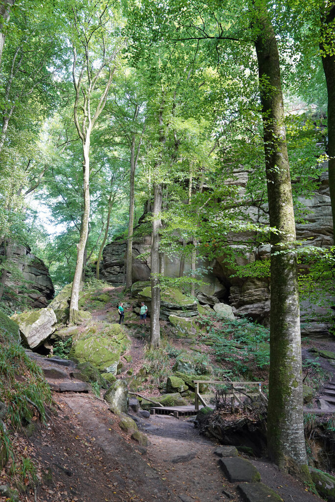 Spektakul&auml;re Felsformationen im M&uuml;llerthal in Luxemburg