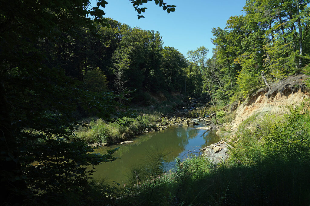 Die Irreler H&auml;ngeseilbr&uuml;cke spannt sich &uuml;ber die Pr&uuml;m und ist von einer herrlichen Landschaft in der s&uuml;dlichen Eifel bei der Teufelsschlucht eingerahmt
