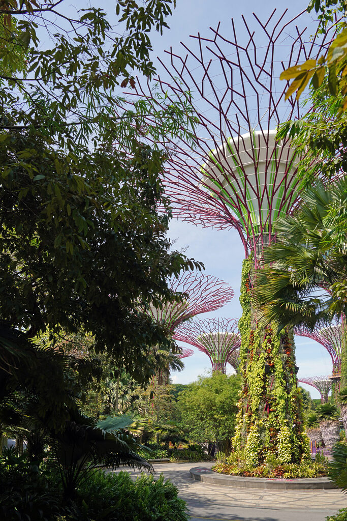 Die kontrastreichen Gardens by the Bay liefern in Singapur eine tolle Mischung aus Natur, Technik und Architektur.