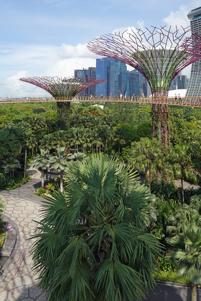 Die kontrastreichen Gardens by the Bay liefern in Singapur eine tolle Mischung aus Natur, Technik und Architektur.