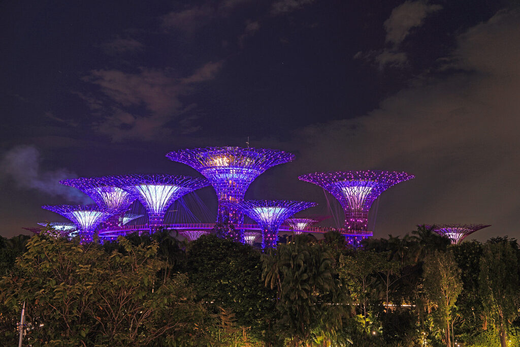 Die Light-Show am Abend in den Gardens by the Bay in Singapur mit den illuminierten Supertrees