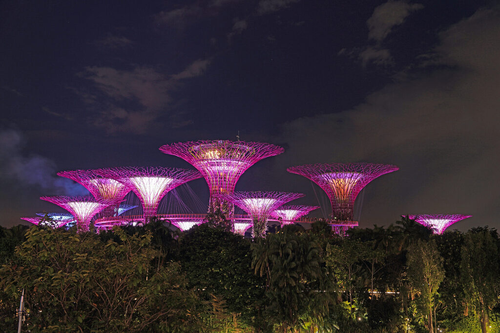Die Light-Show am Abend in den Gardens by the Bay in Singapur mit den illuminierten Supertrees