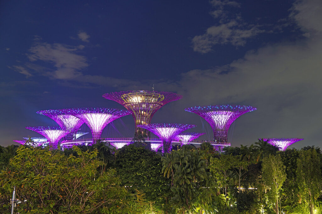 Die Light-Show am Abend in den Gardens by the Bay in Singapur mit den illuminierten Supertrees
