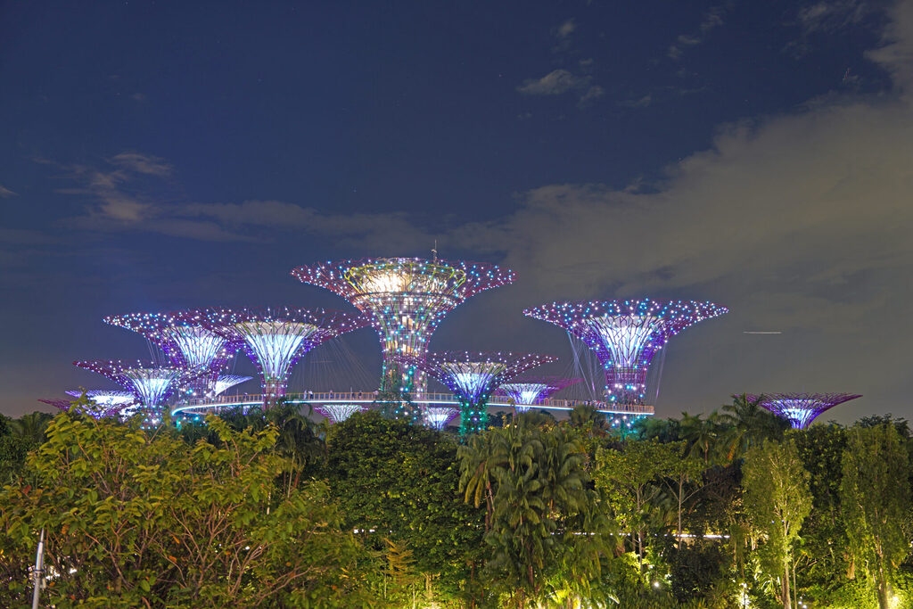 Die Light-Show am Abend in den Gardens by the Bay in Singapur mit den illuminierten Supertrees